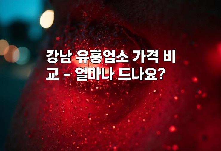 강남 유흥업소 가격 비교 - 얼마나 드나요?