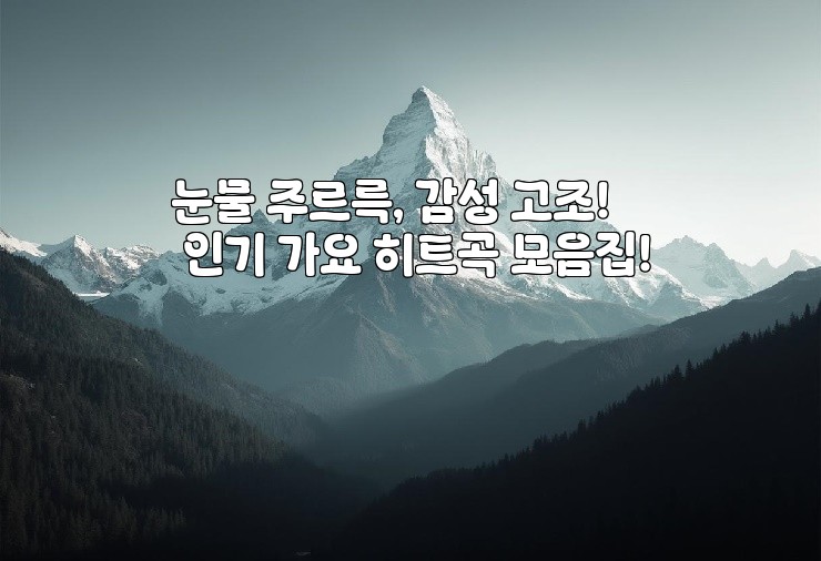 눈물 주르륵, 감성 고조! 인기 가요 히트곡 모음집!